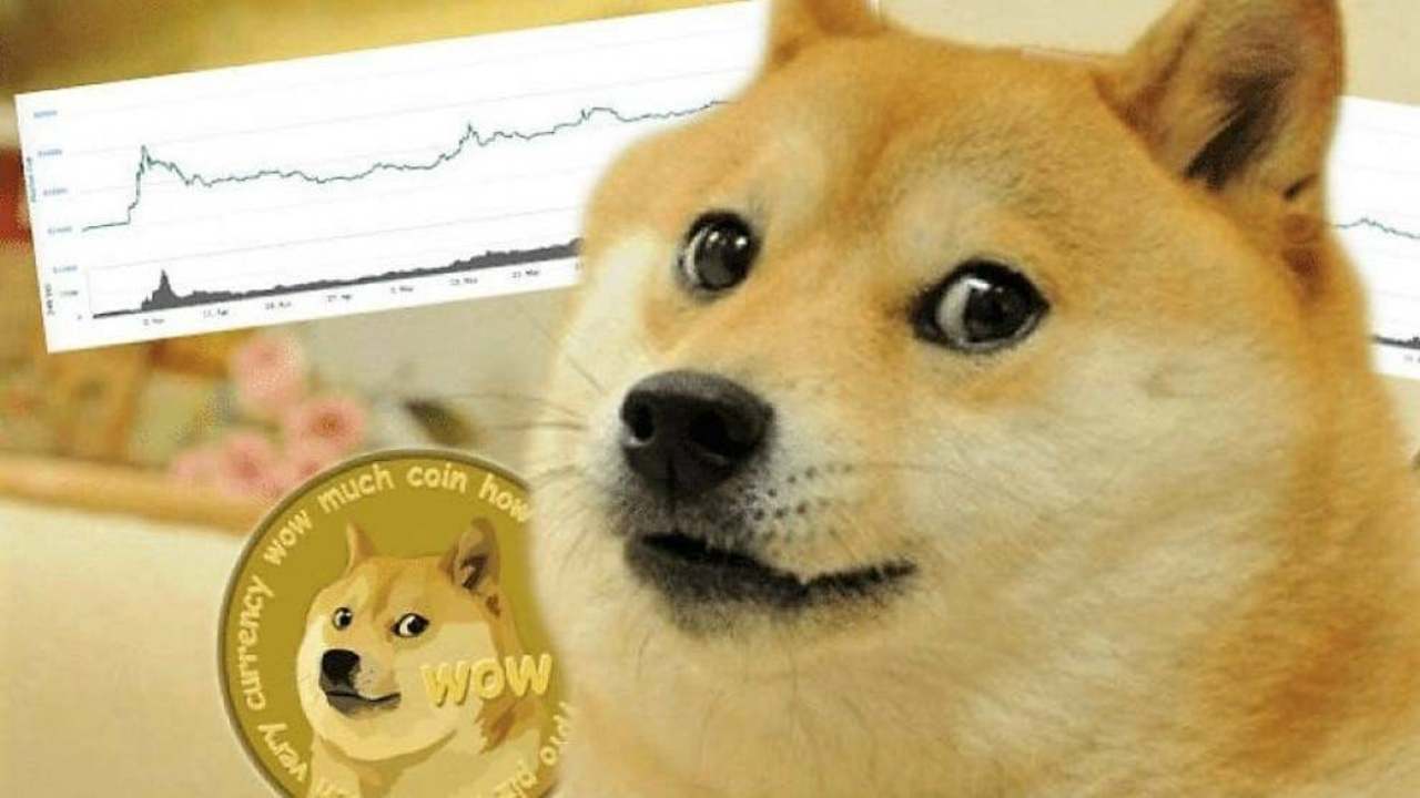 dogecoin (web source) 