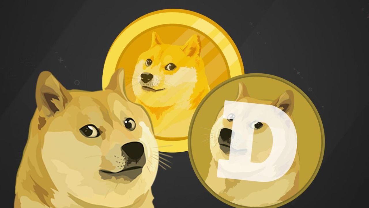 dogecoin (web source)