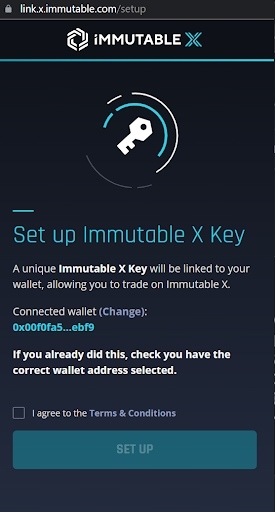 Immutable X key