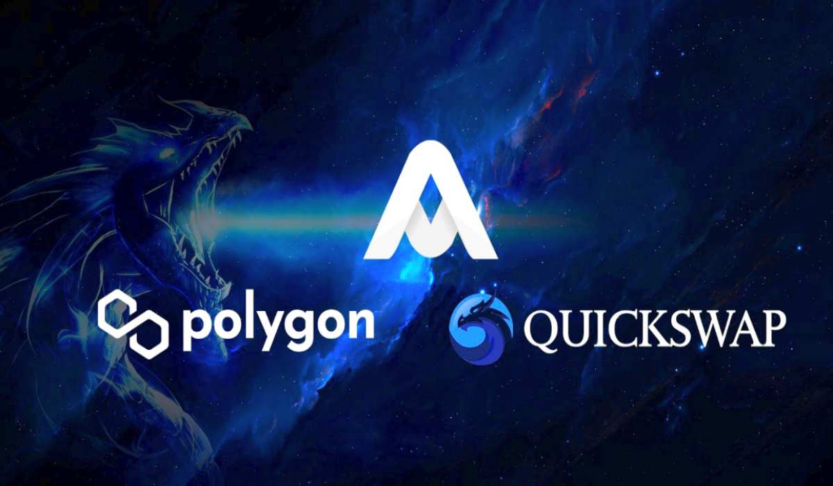 quickswap polygon