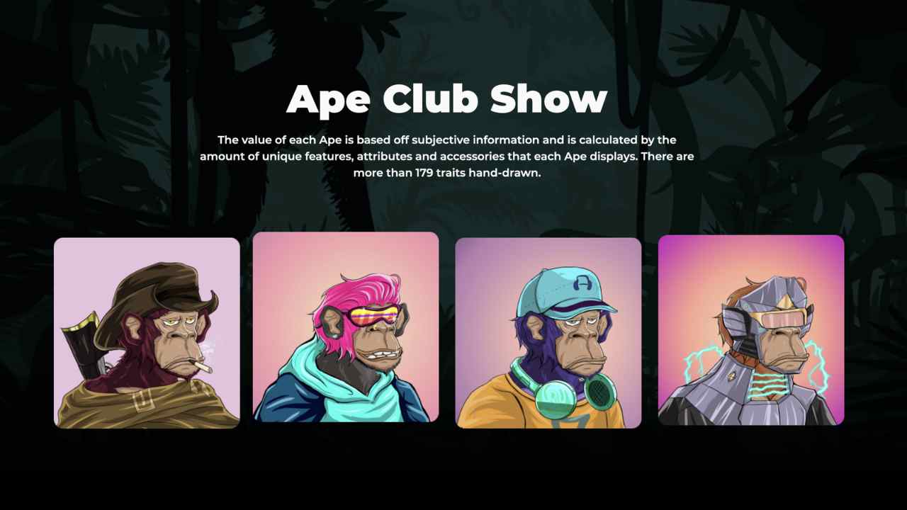 ape club show truffa nft