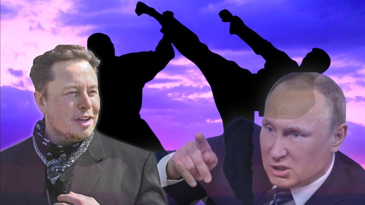 Elon musk sfida putin a duello, il vincitore prende l'ucraina