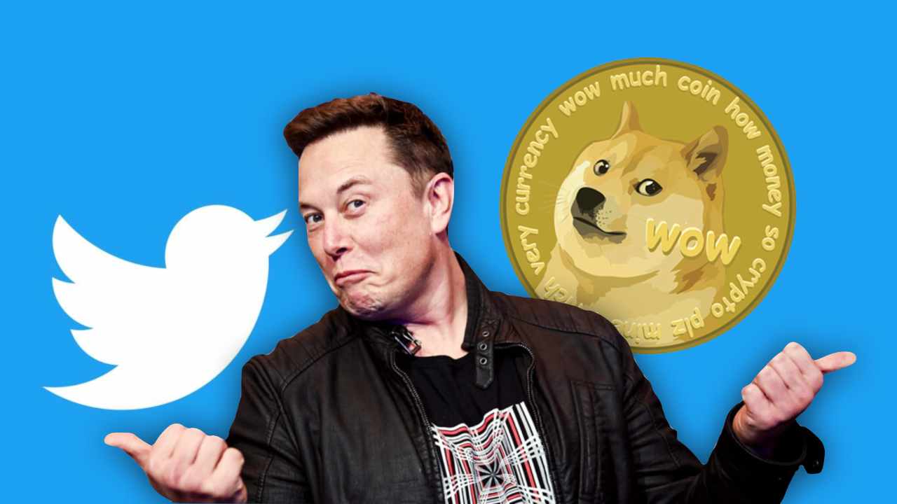 Elon musk twitter dogecoin