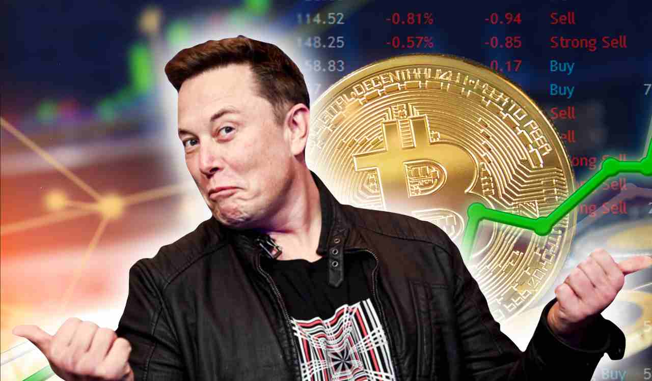 Elon usk criptovalute bitcoin