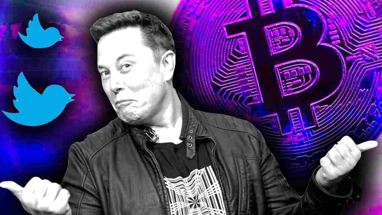 elon musk tweet twitter bitcoin