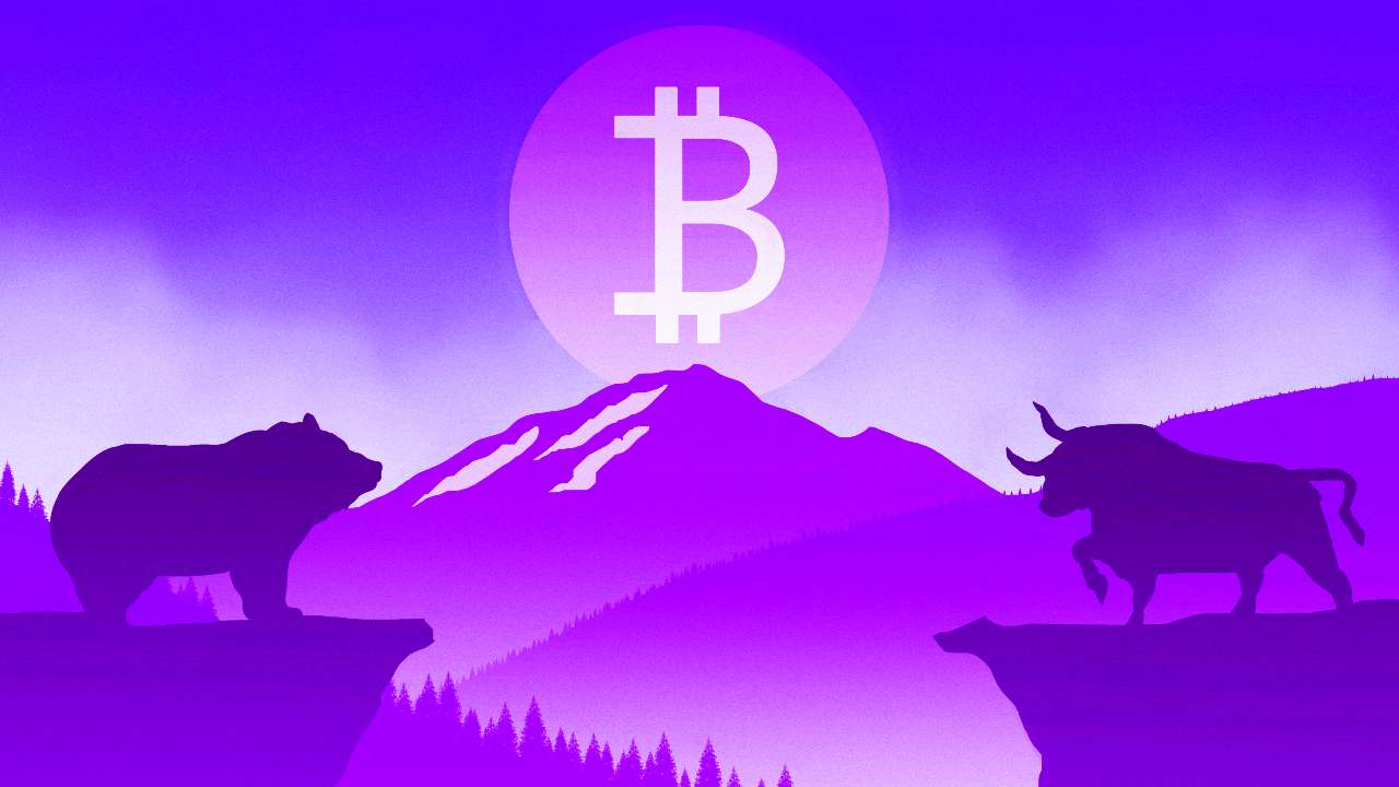 bitcoin mercati bull bear