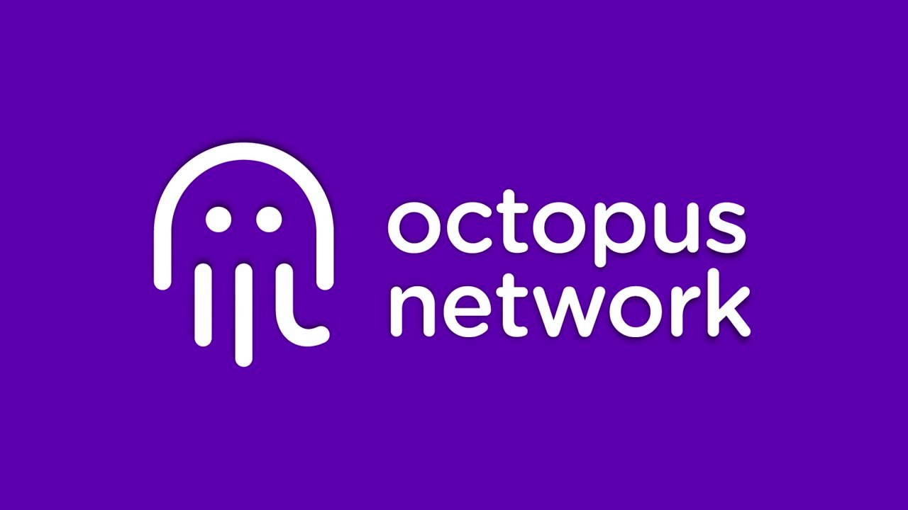 octopus network