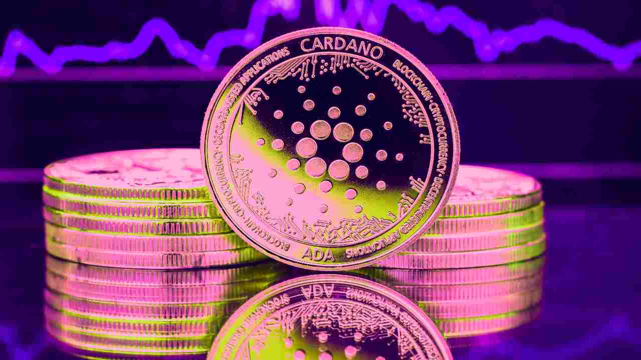 ada cardano staking