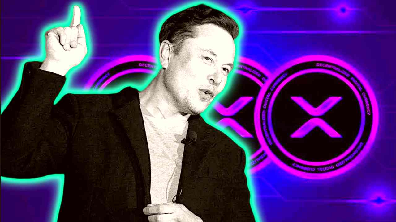 elon musk ripple xrp