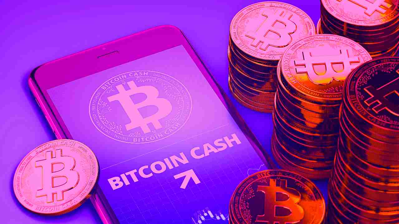 bch bitcoin cash