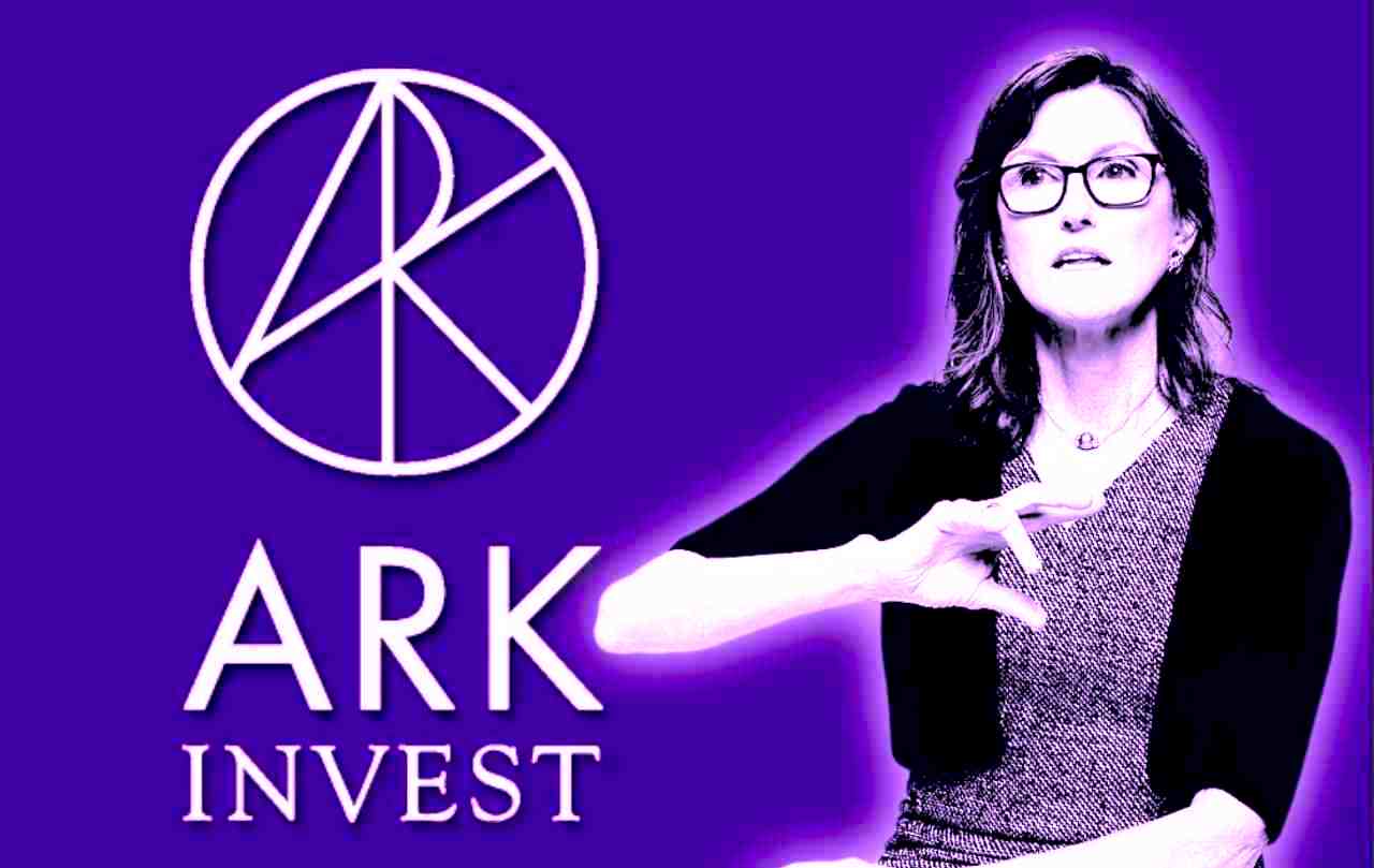 cathie wood ark invest