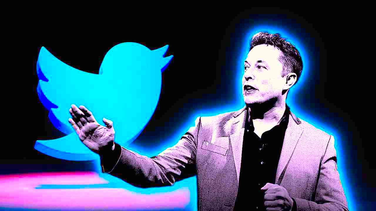 twitter musk signal privacy