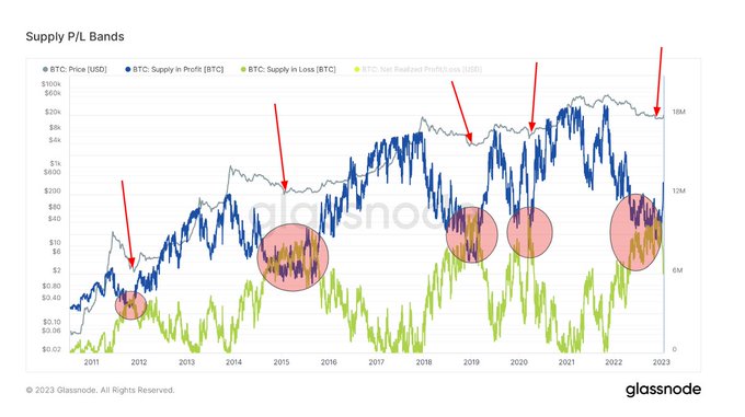 supply p/l bands