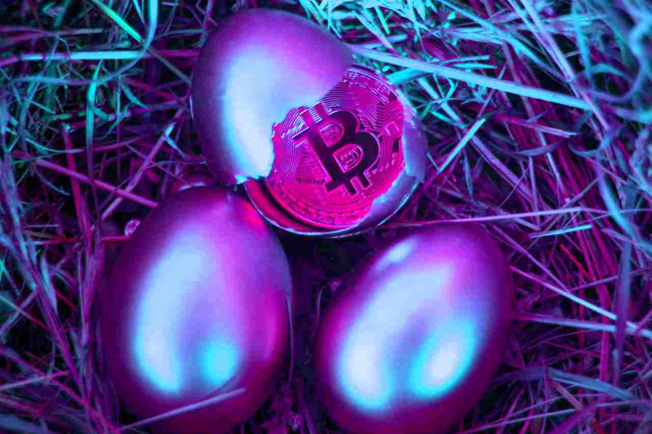 bitcoin uova