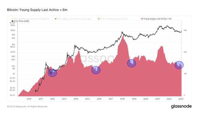 Long-Term Holders in Profit