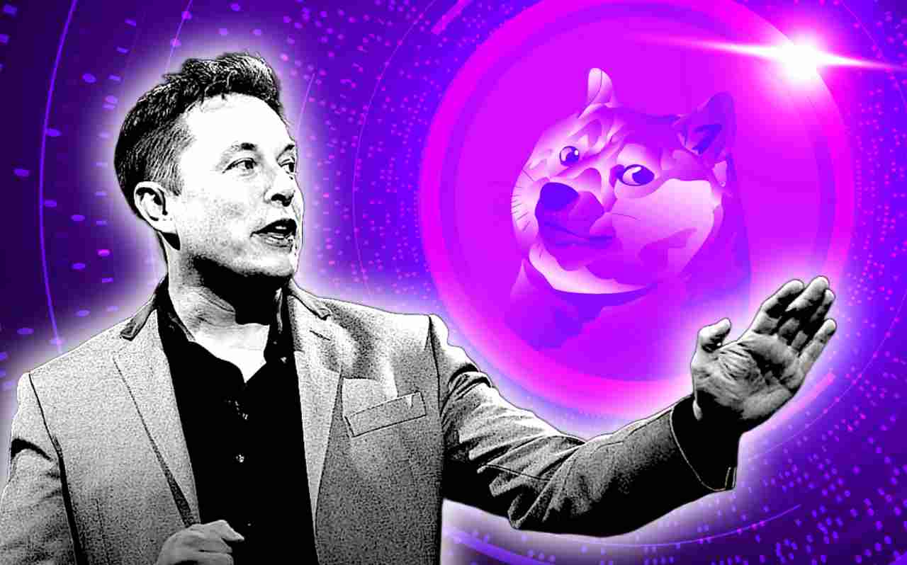 Elon Musk doge dogecoin