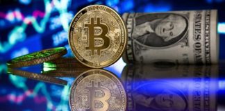 bitcoin (web source)