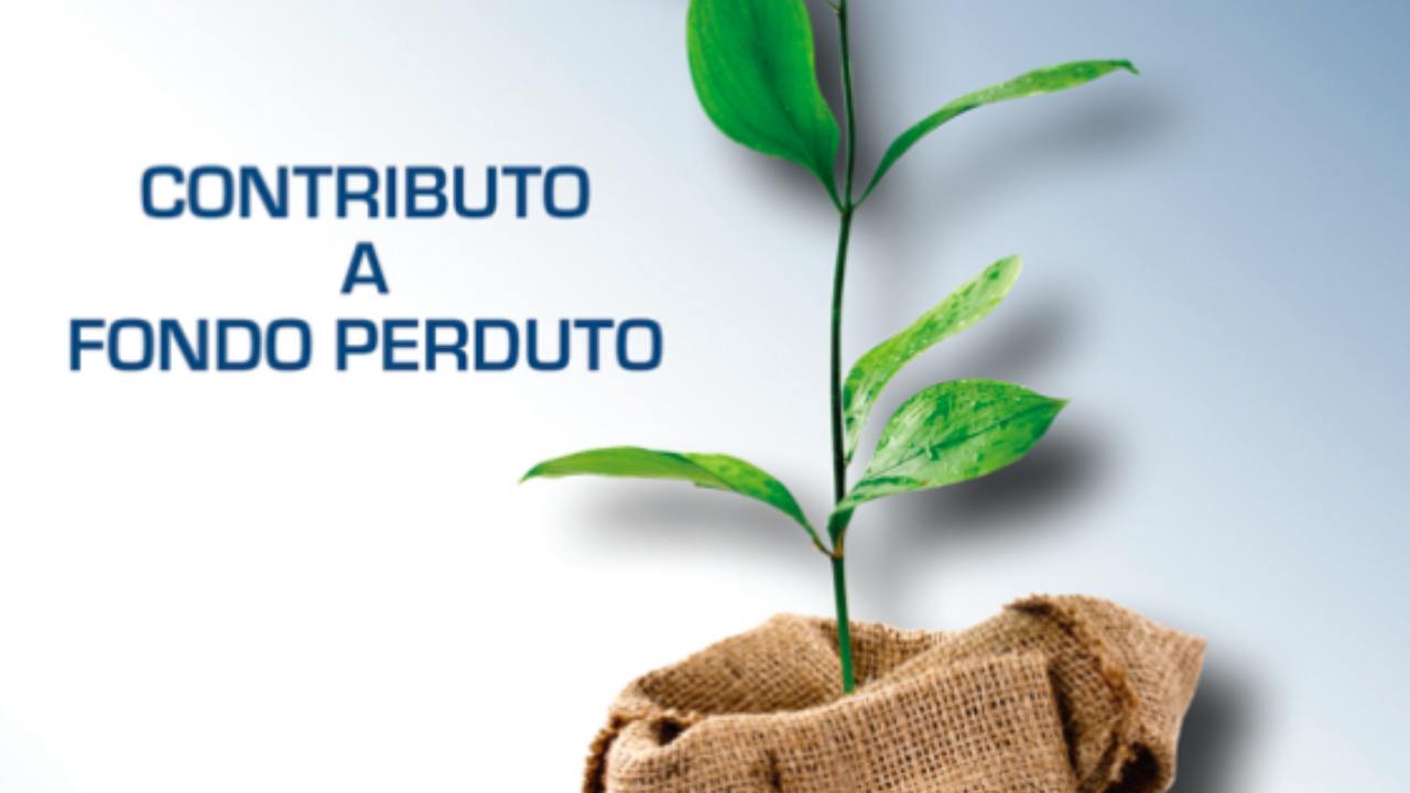 contributo a fondo perduto (web source)