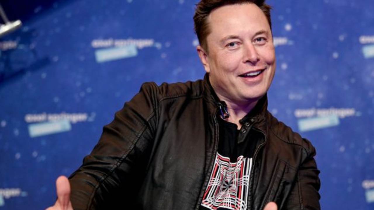 elon musk (web source)