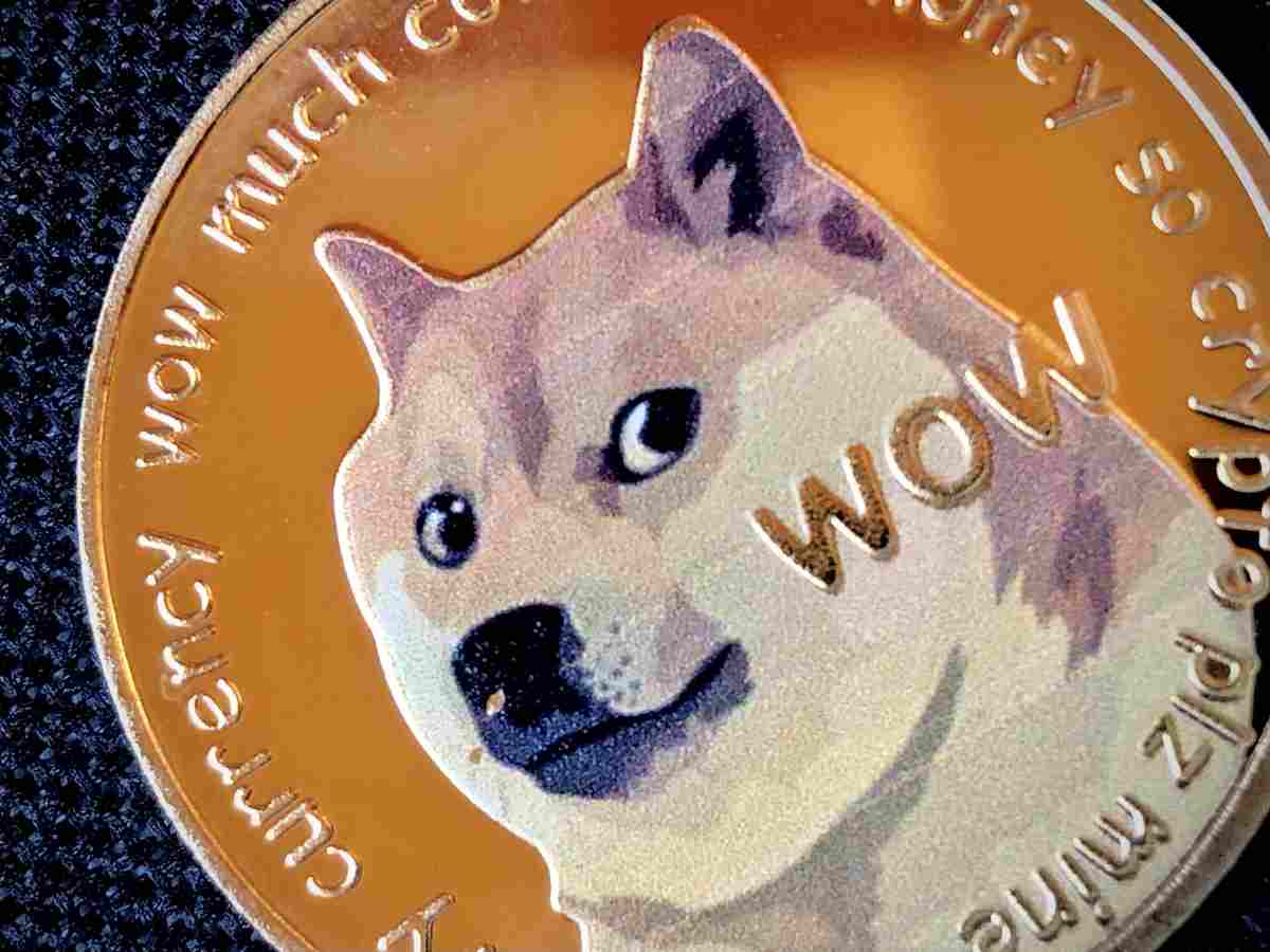 doge dogecoin milioni