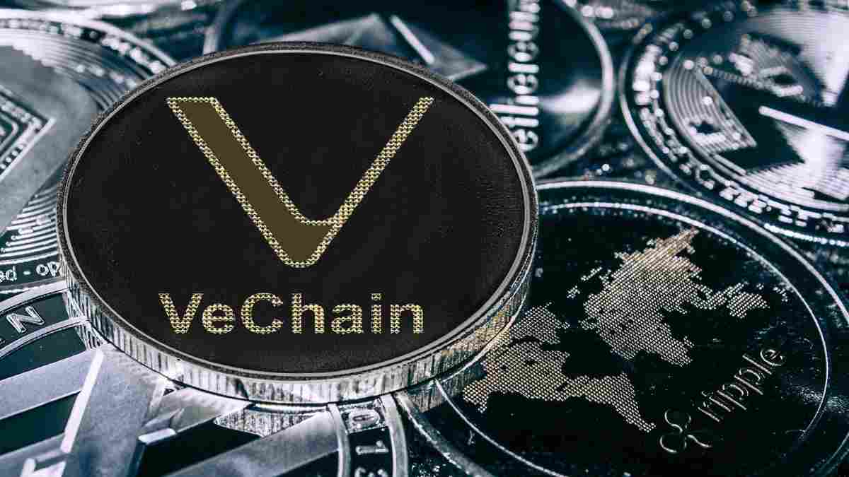 vechain ceusd stablecoin