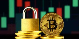 Bitcoin anonimo