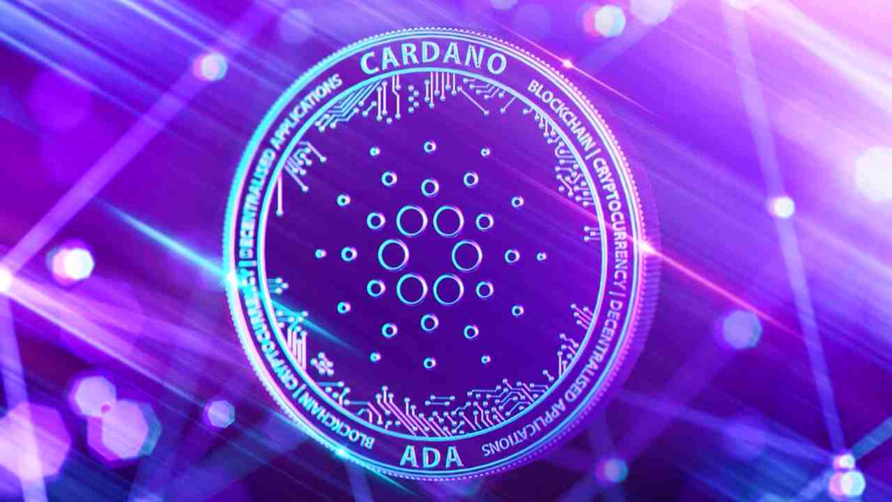 Djed la stablecoin di cardano