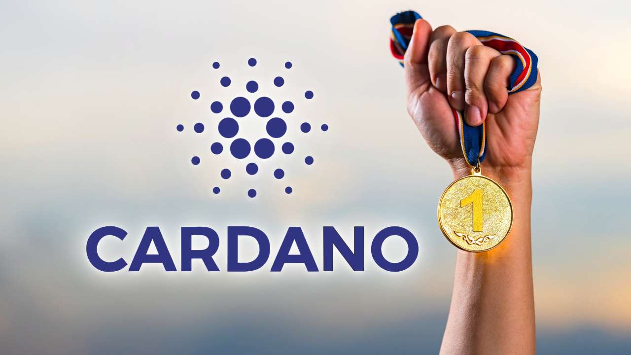 Cardano numero di transazioni superiore bitcoin ed ethereum