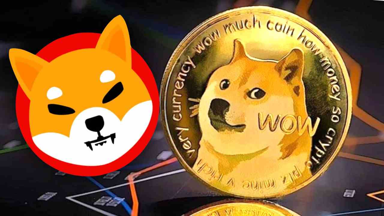 shiba inu doge coin memecoin