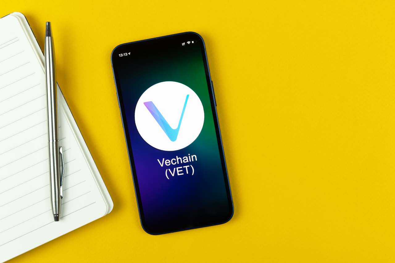 VET vechain