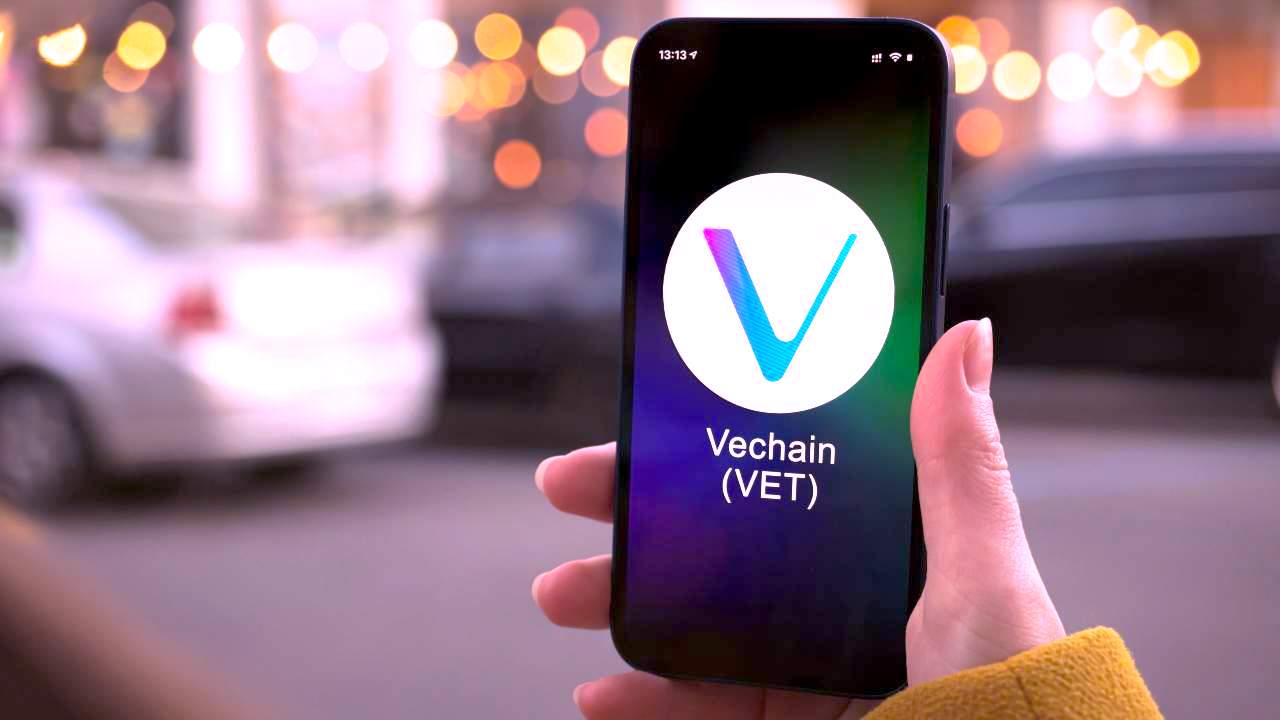 Vechain token VET VTHO