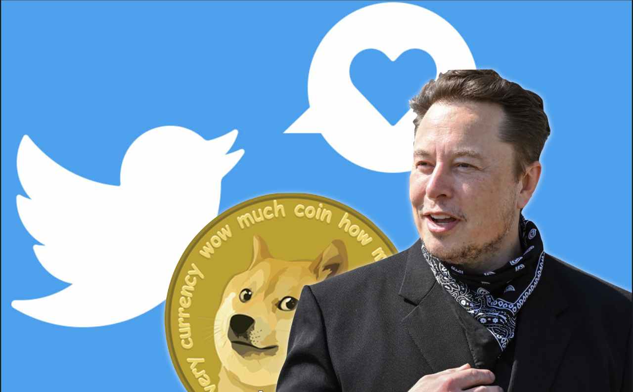 Dogecoin twitter elon musk