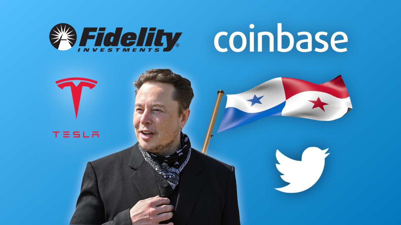 maggio 2022 criptovalute elon musk fidelity twitter tesla