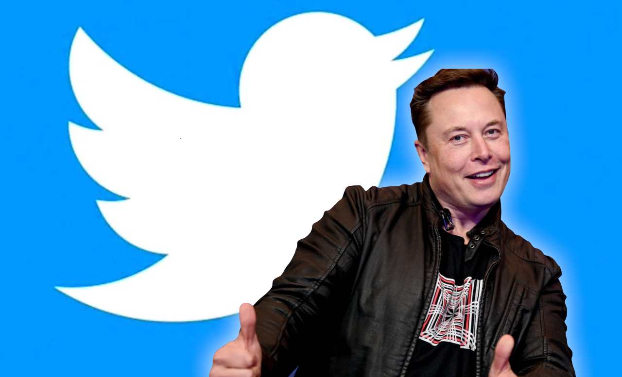 musk criptovalute twitter bitcoin