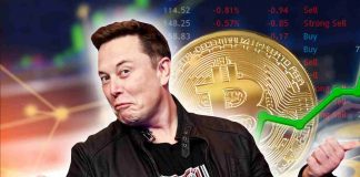 Elon usk criptovalute bitcoin