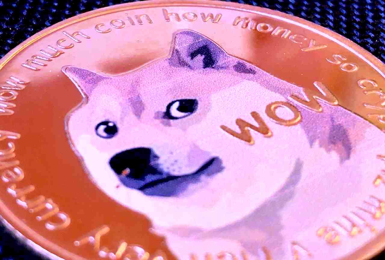 dogecoin doge piramidale truffa ponzi