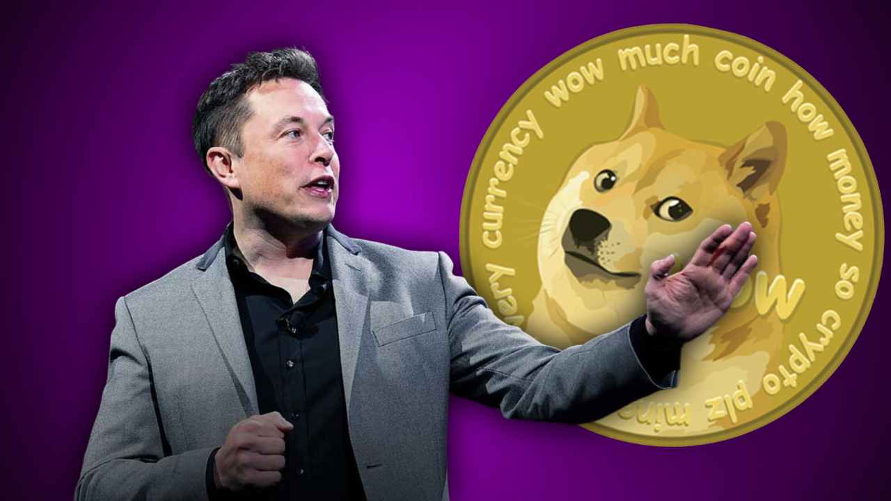 elon musk doge dogecoin