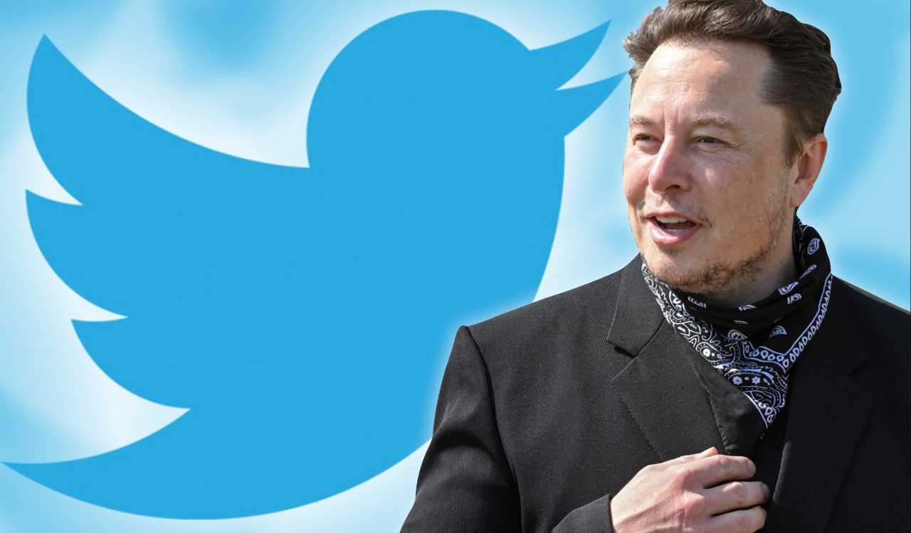 elon musk twitter