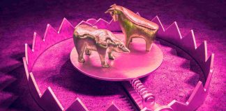 bull trap trading criptovalute