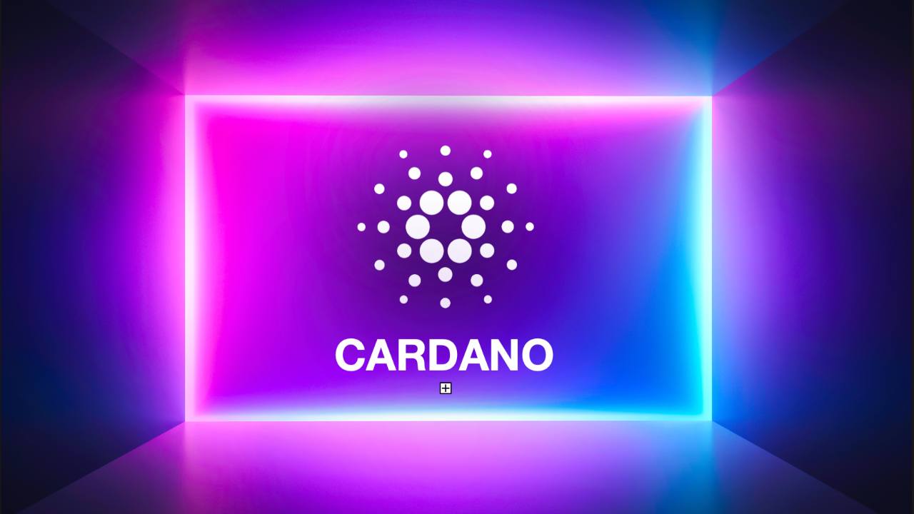 cardano ada whale