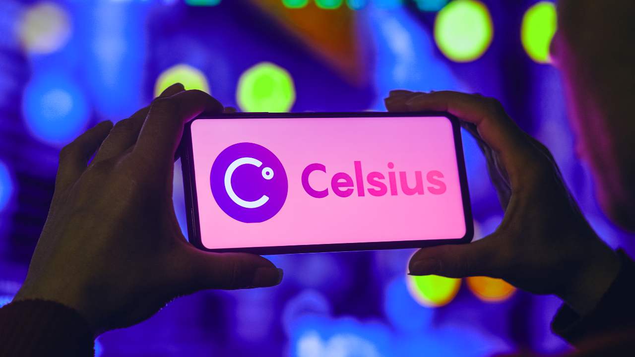 Celsius netwotk cfo