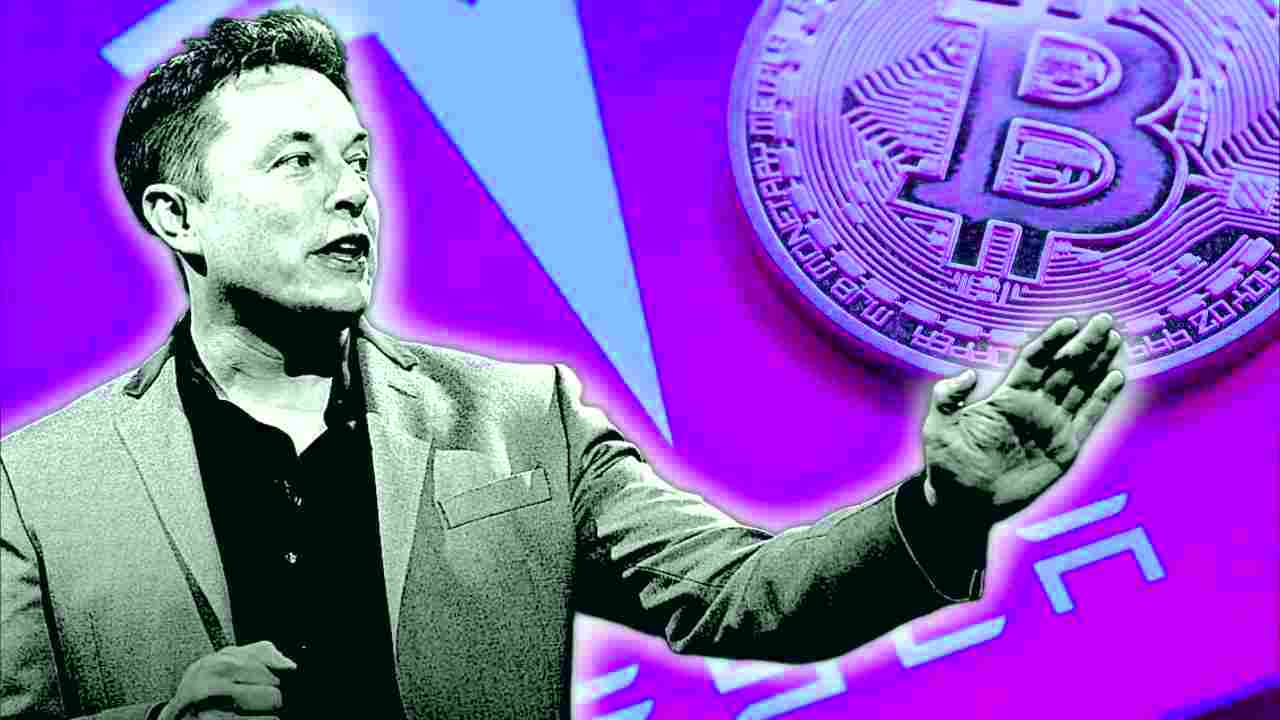 elon musk inflazione bitcoin criptovalute