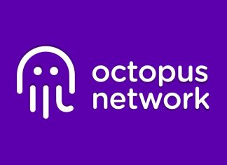 octopus network