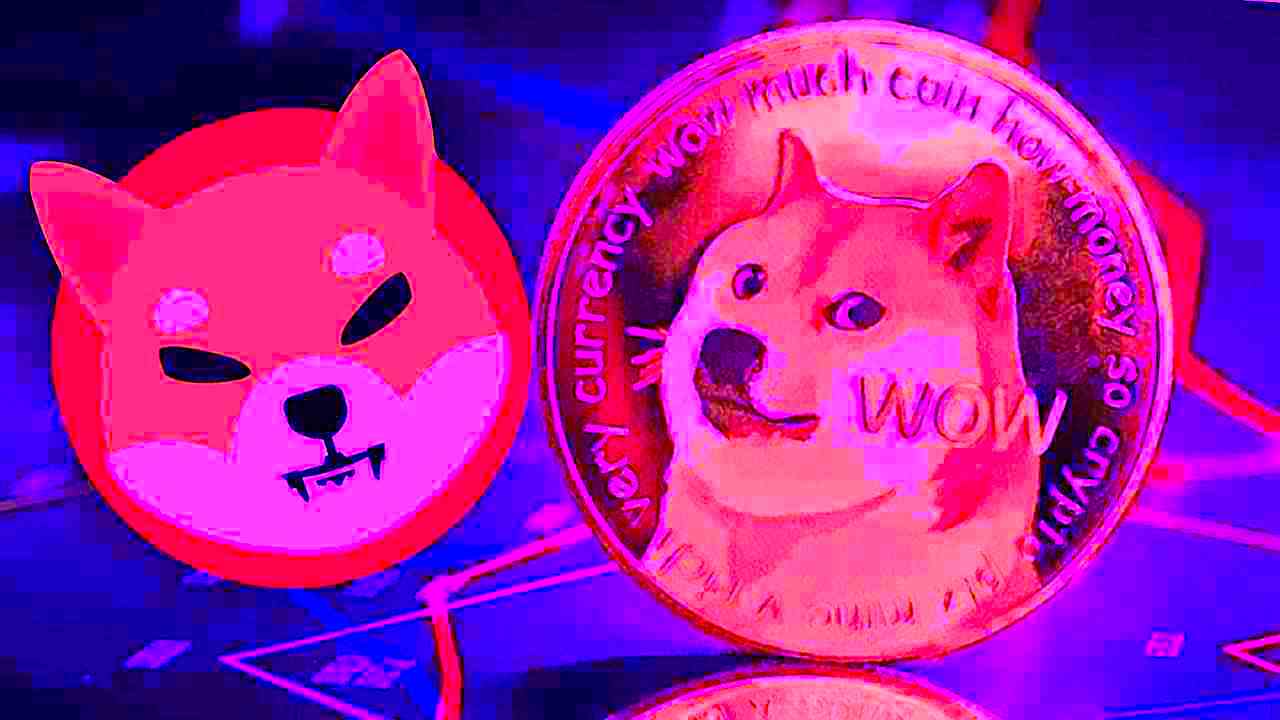 SHIB shiba inu dogecoin