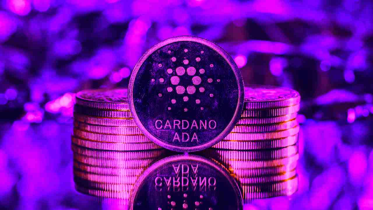 ada cardano aggiornamento