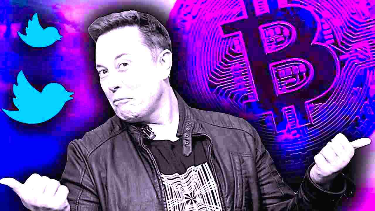 elon musk twitter payments criptovalute