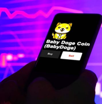 babydoge meme coin