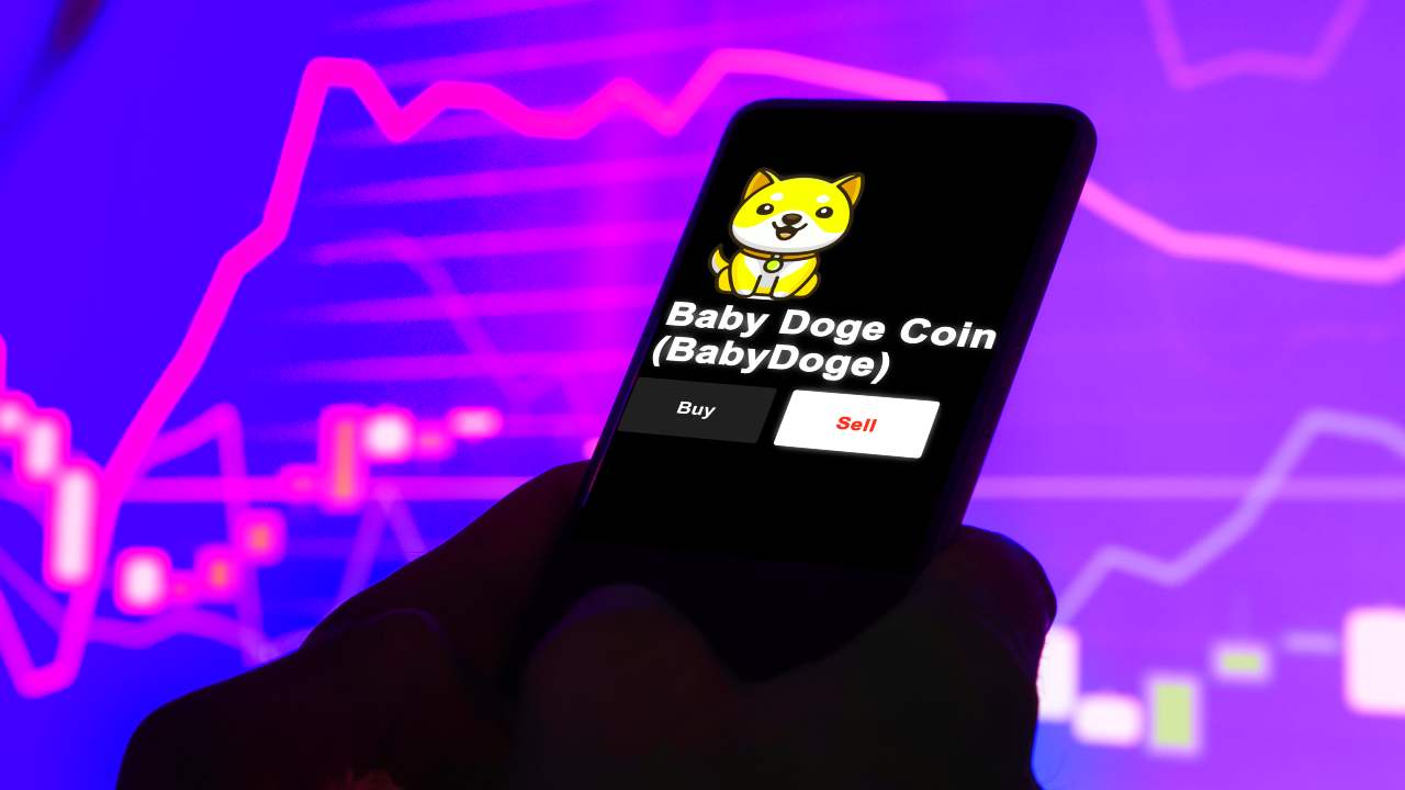 babydoge meme coin