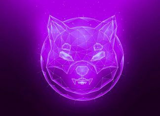 shiba inu shibarium shib