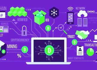 halving analisi on chain bitcoin